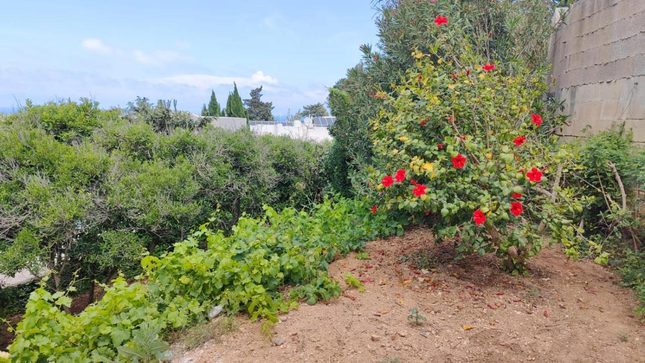 Stunning Villa With Pool, Table Tennis, Table Soccer And A Pool Table 나샤르 외부 사진