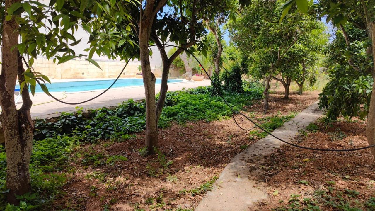 Stunning Villa With Pool, Table Tennis, Table Soccer And A Pool Table 나샤르 외부 사진