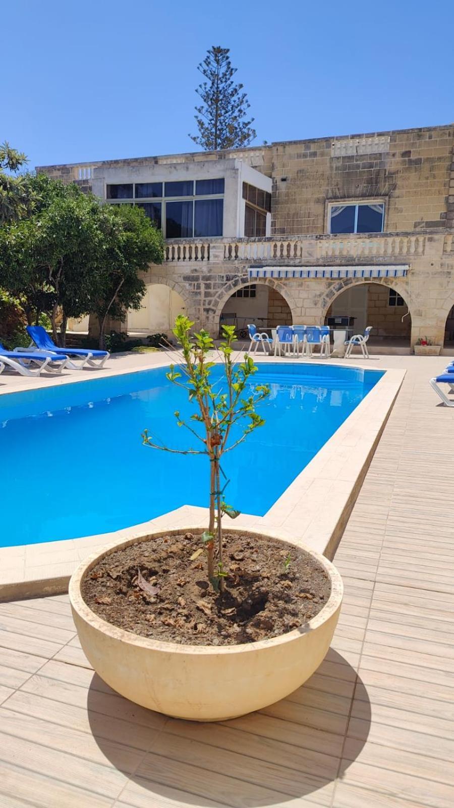 Stunning Villa With Pool, Table Tennis, Table Soccer And A Pool Table 나샤르 외부 사진